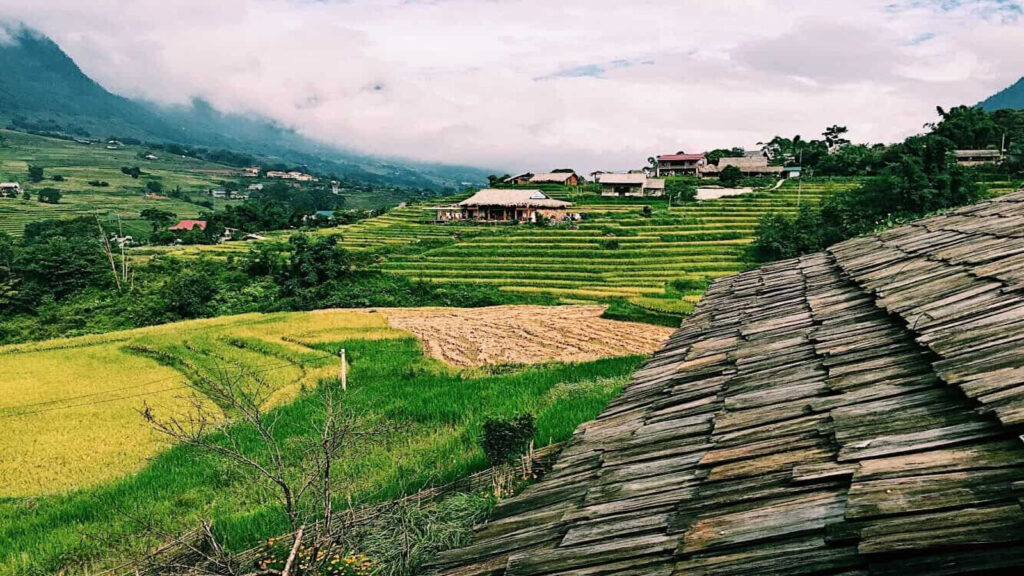 Hanoi - Sapa - Lao Chai - Ta Van - Giang Ta Chai - Hanoi 3 Days 2 Nights