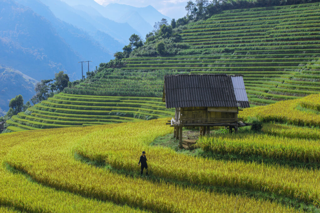 Hanoi - Sapa - Cat Cat -Lao Chai - Ta Van - Silver Water Fall 3 Days 2 Nights