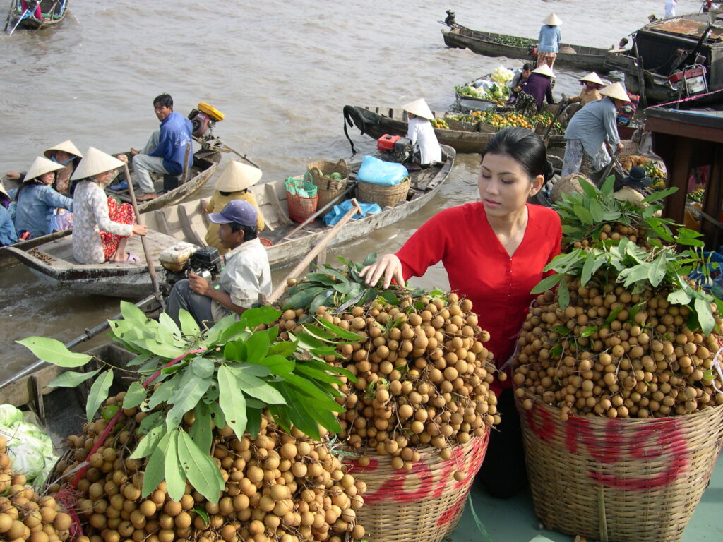 Mekong Delta 2 Days 1 Night Tour