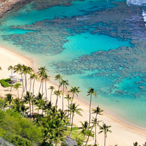 Cham Island 1 Day Tour